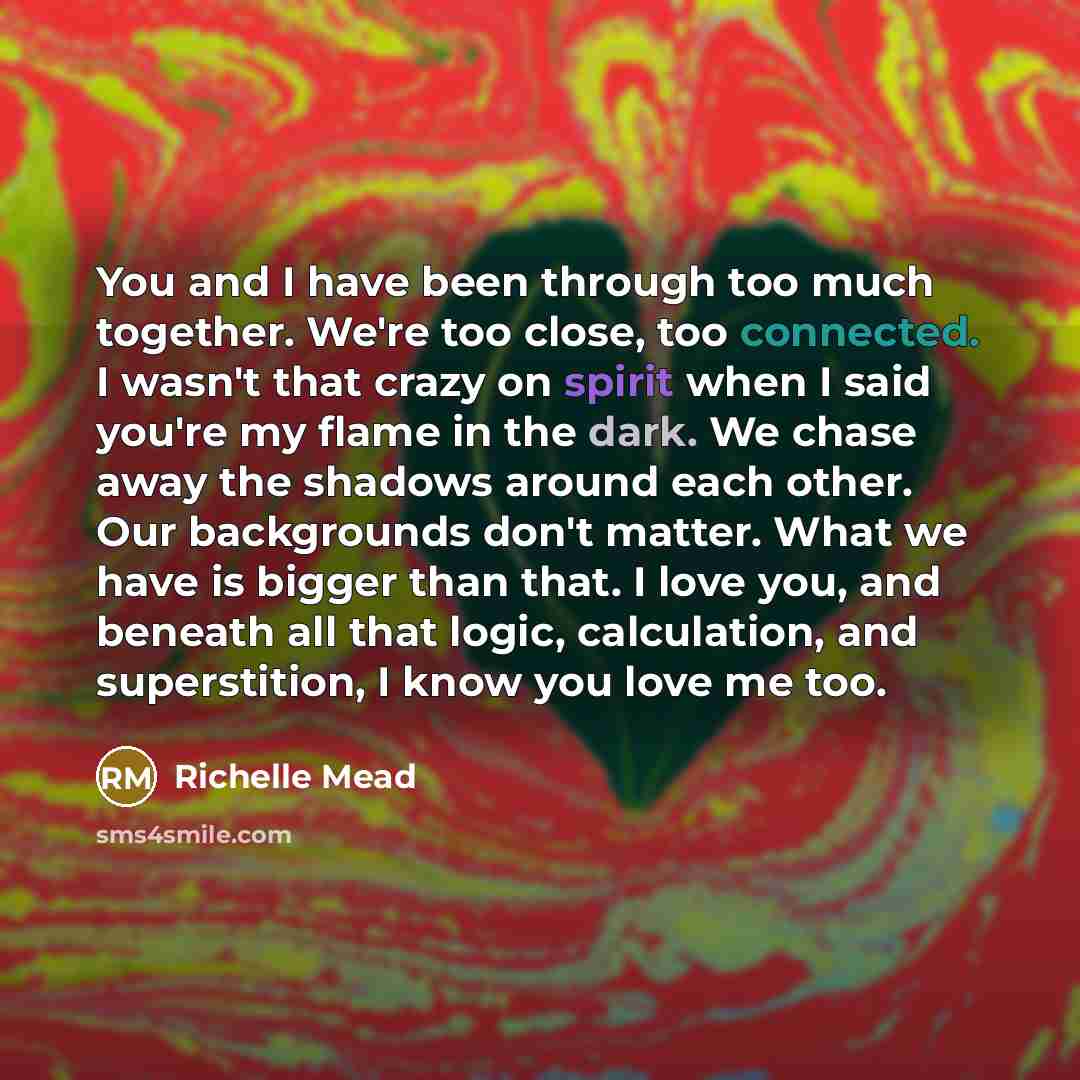 “You and I have been through too much together. We're too close, too connected. I wasn't that crazy on spirit when I said you're my flame in the dark. We chase away the shadows around each other. Our backgrounds don't matter. What we have is bigger than that. I love you, and beneath all that logic…” quote by Richelle Mead