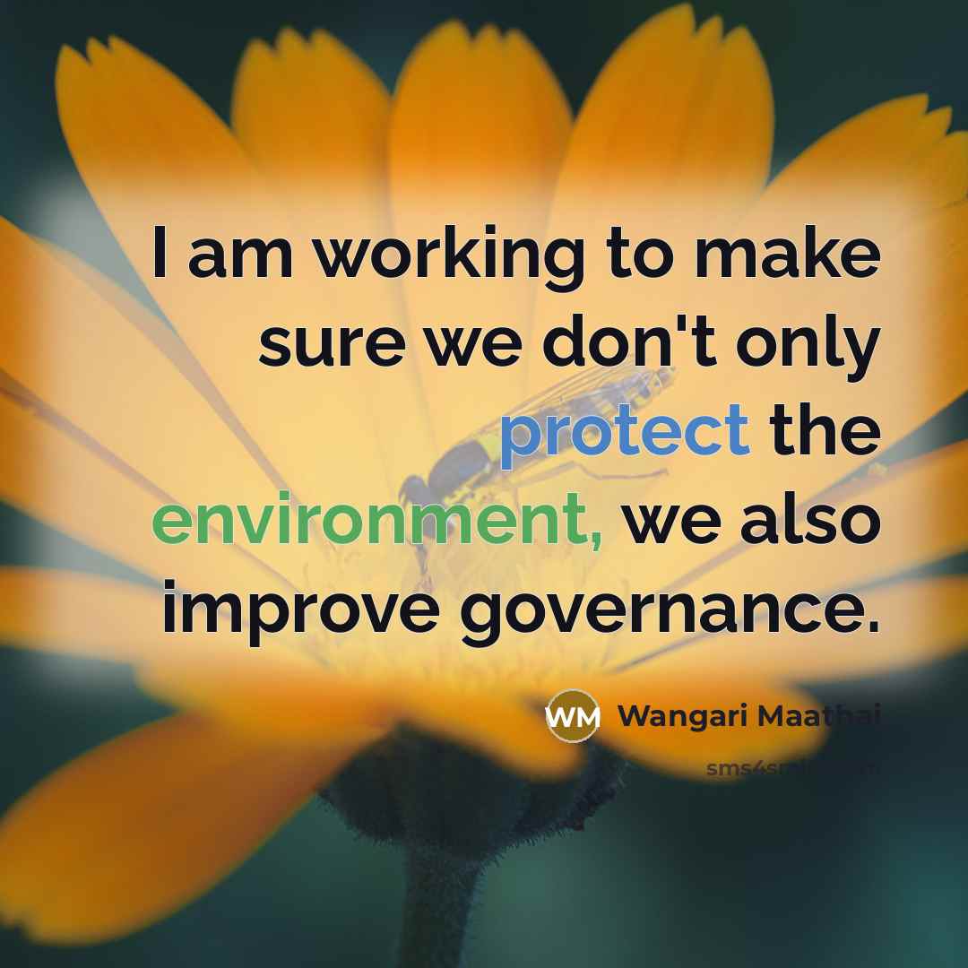 “I am working to make sure we don't only protect the environment, we also improve governance.” quote by Wangari Maathai