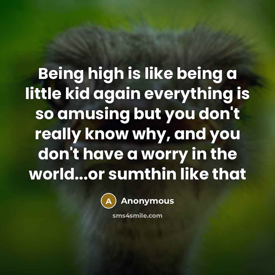 “Being high is like being a little kid again everything is so amusing but you don't really know why, and you don't have a worry in the world...or sumthin like that” quote by Anonymous