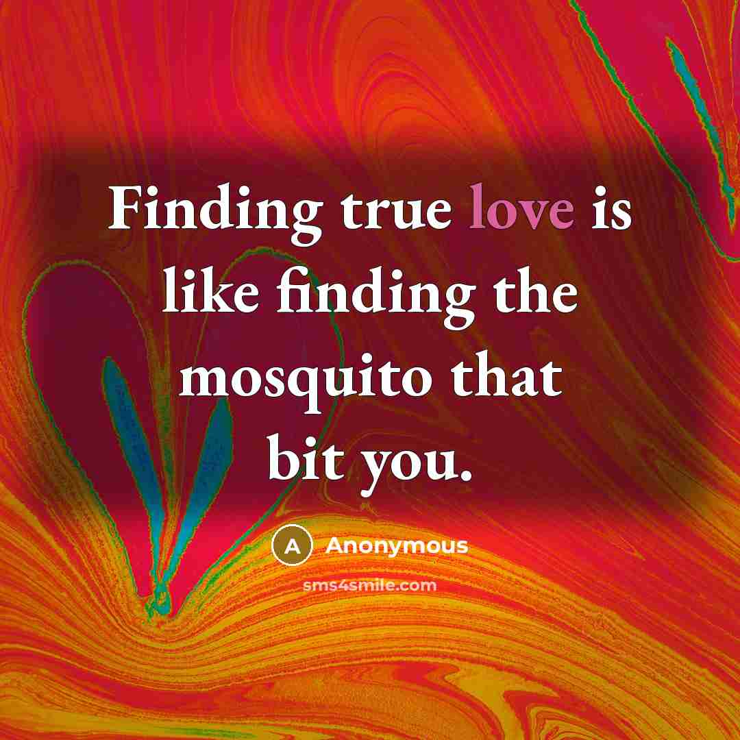 “Finding true love is like finding the mosquito that bit you.” quote by Anonymous