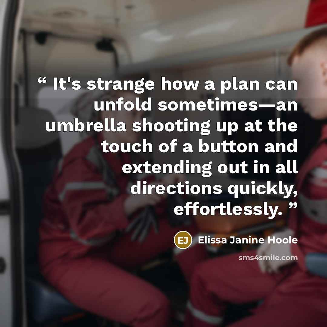 “It's strange how a plan can unfold sometimes—an umbrella shooting up at the touch of a button and extending out in all directions quickly, effortlessly.” quote by Elissa Janine Hoole