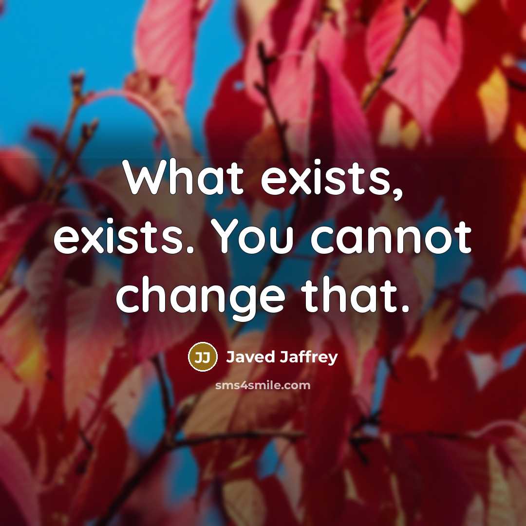 “What exists, exists. You cannot change that.” quote by Javed Jaffrey