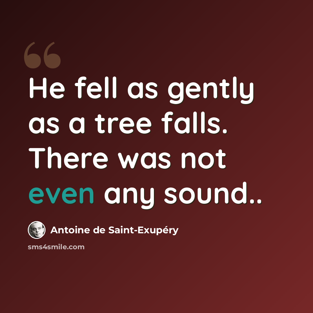 “He fell as gently as a tree falls. There was not even any sound..” quote by Antoine de Saint-Exupery