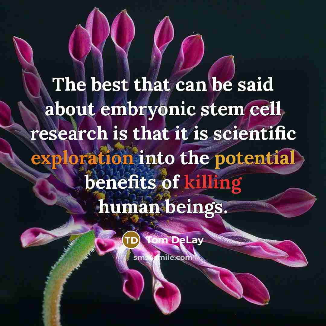 “The best that can be said about embryonic stem cell research is that it is scientific exploration into the potential benefits of killing human beings.” quote by Tom DeLay