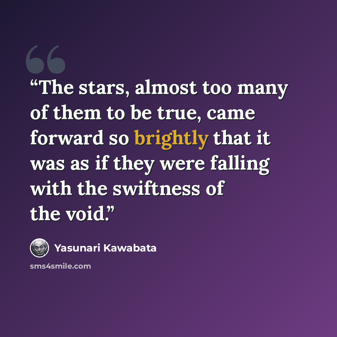 “The stars, almost too many of them to be true, came forward so brightly that it was as if they were falling with the swiftness of the void.” quote by Yasunari Kawabata