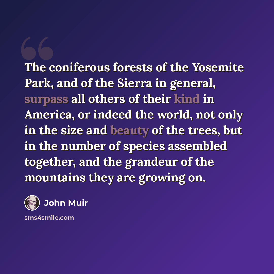 “The coniferous forests of the Yosemite Park, and of the Sierra in general, surpass all others of their kind in America, or indeed the world, not only in the size and beauty of the trees, but in the number of species assembled together, and the grandeur of the mountains they are growing on.” quote by John Muir