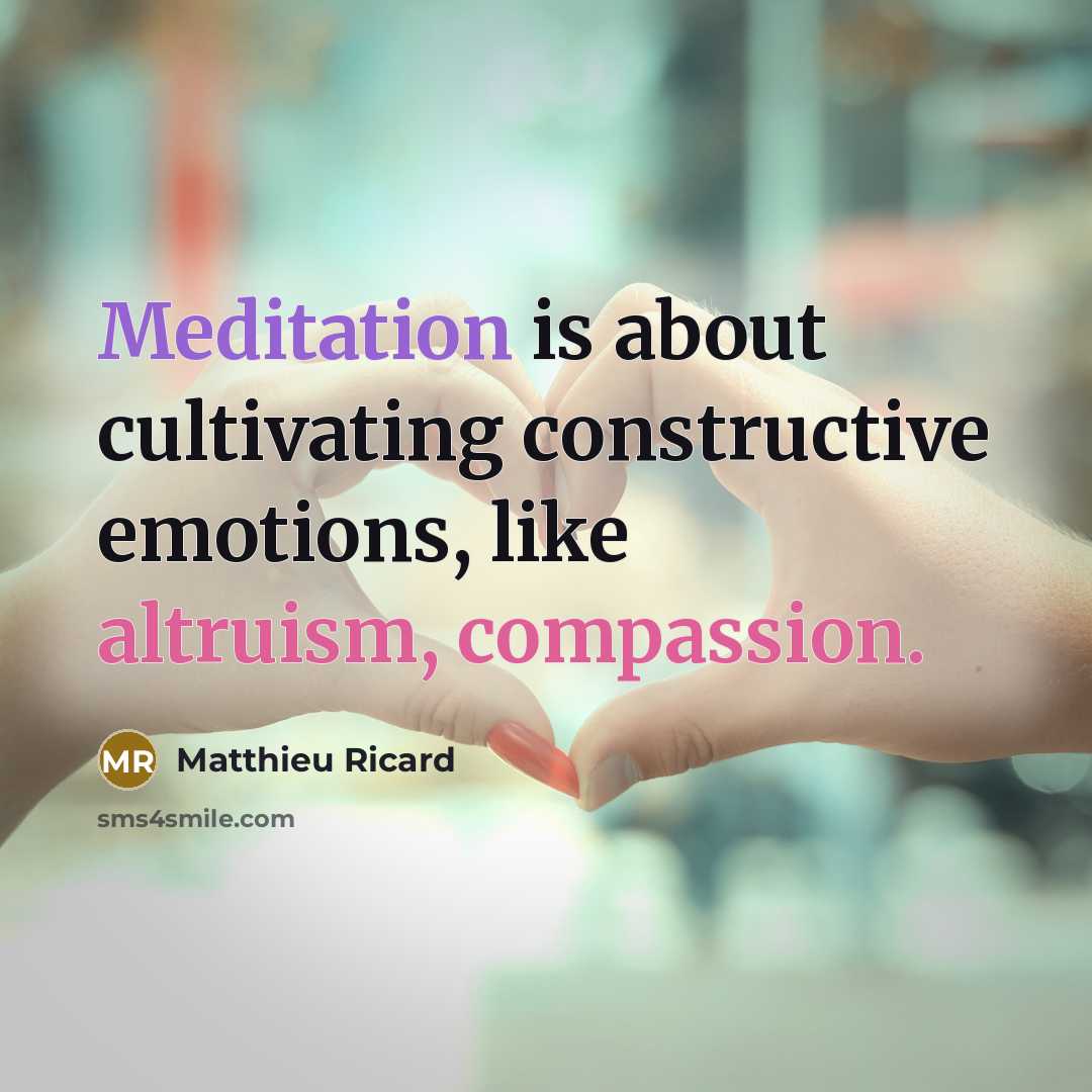 “Meditation is about cultivating constructive emotions, like altruism, compassion.” quote by Matthieu Ricard