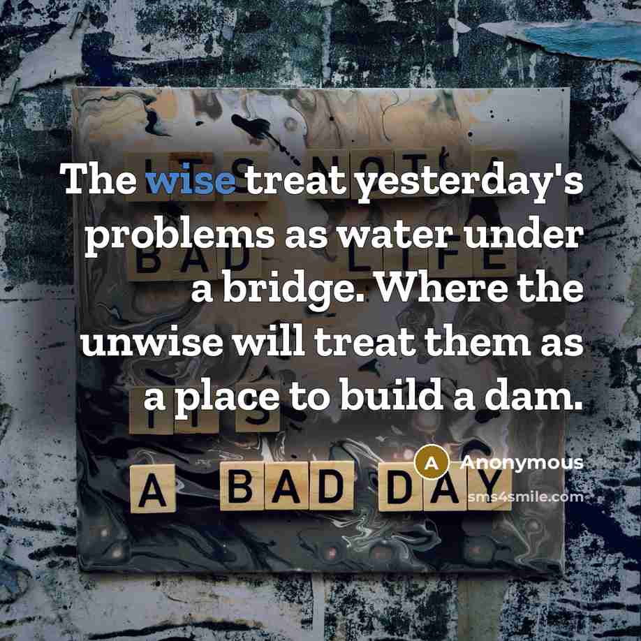 “The wise treat yesterday's problems as water under a bridge. Where the unwise will treat them as a place to build a dam.” quote by Anonymous