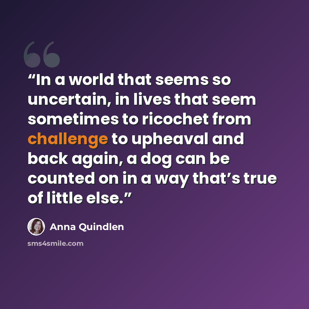 “In a world that seems so uncertain, in lives that seem sometimes to ricochet from challenge to upheaval and back again, a dog can be counted on in a way that’s true of little else.” quote by Anna Quindlen