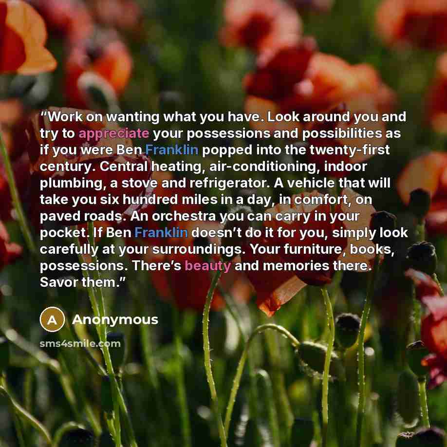 “Work on wanting what you have. Look around you and try to appreciate your possessions and possibilities as if you were Ben Franklin popped into the twenty-first century. Central heating, air-conditioning, indoor plumbing, a stove and refrigerator. A vehicle that will take you six hundred miles in…” quote by Anonymous