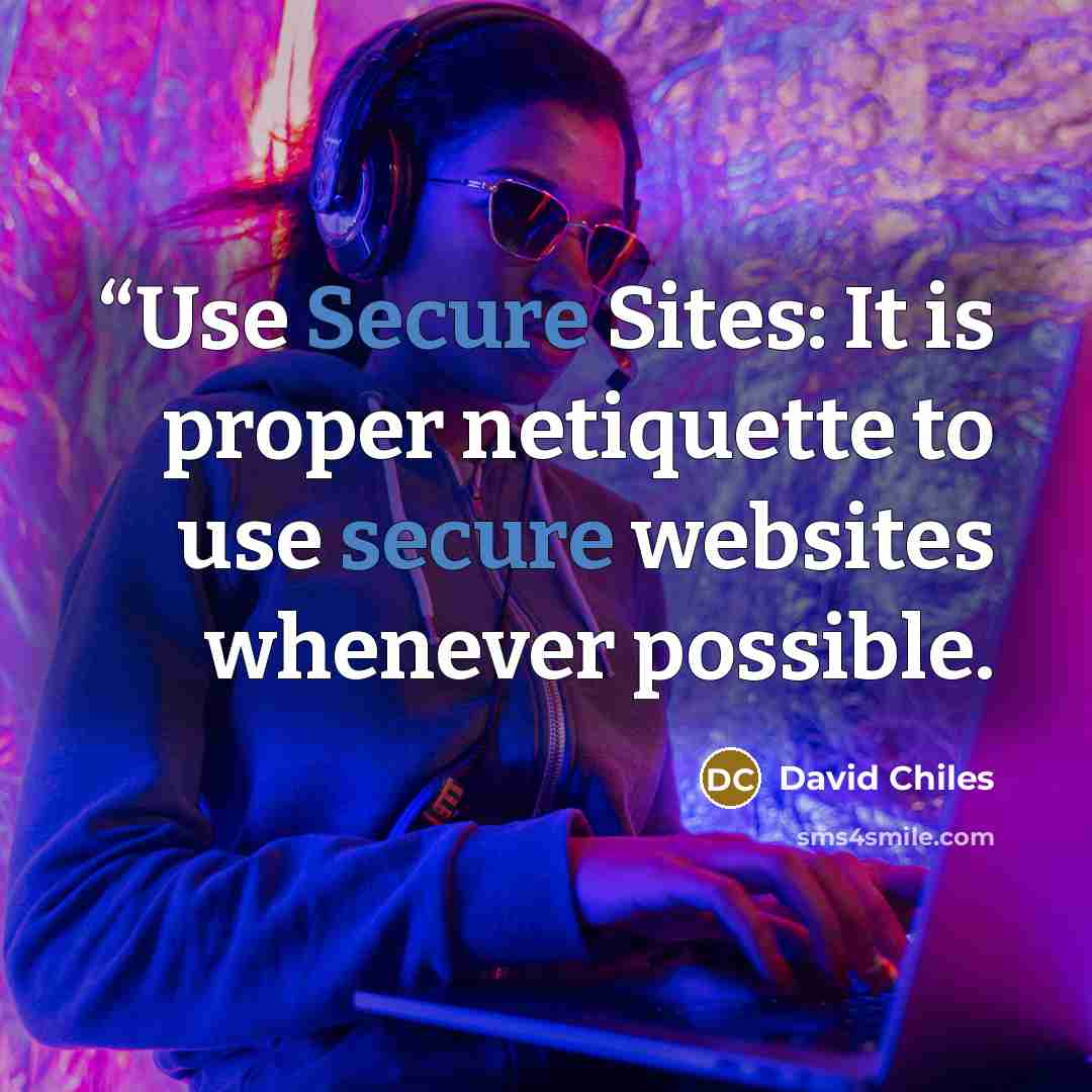 ““Use Secure Sites: It is proper netiquette to use secure websites whenever possible.” quote by David Chiles