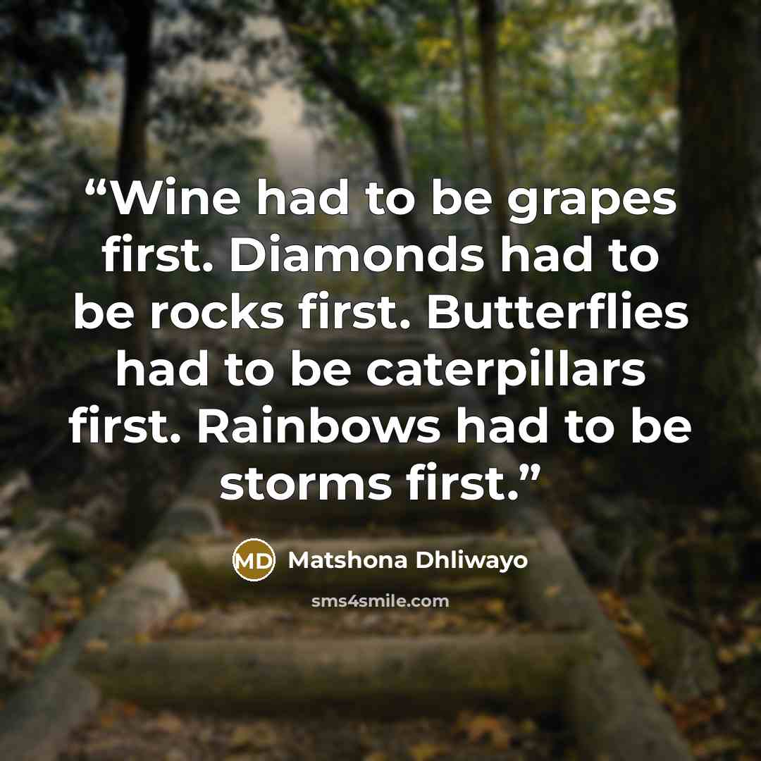 “Wine had to be grapes first. Diamonds had to be rocks first. Butterflies had to be caterpillars first. Rainbows had to be storms first.” quote by Matshona Dhliwayo