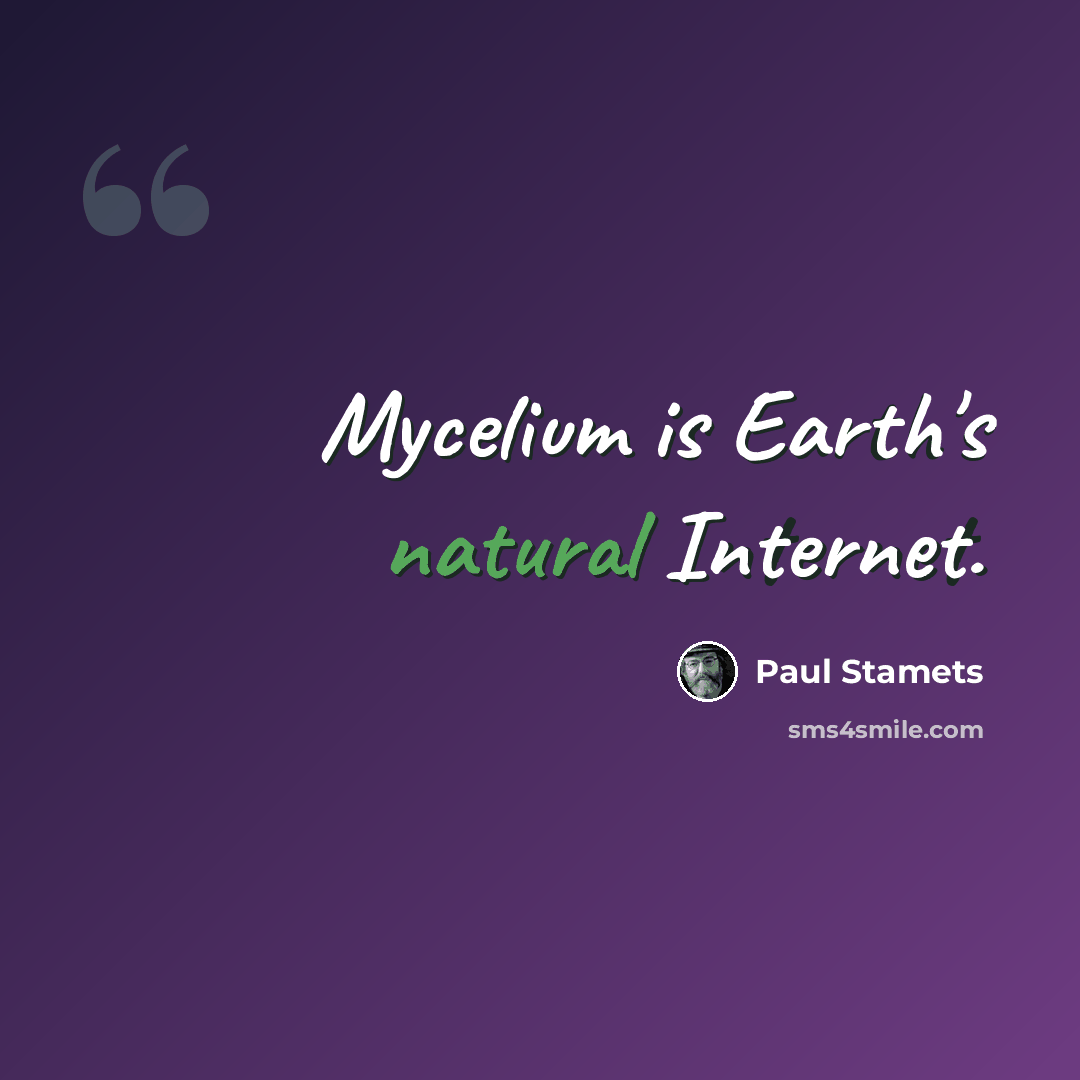 “Mycelium is Earth's natural Internet.” quote by Paul Stamets