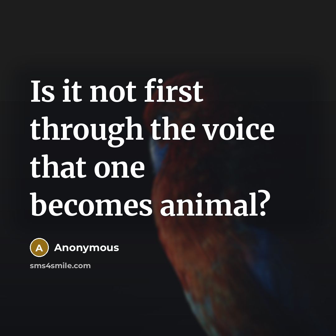 “Is it not first through the voice that one becomes animal?” quote by Anonymous