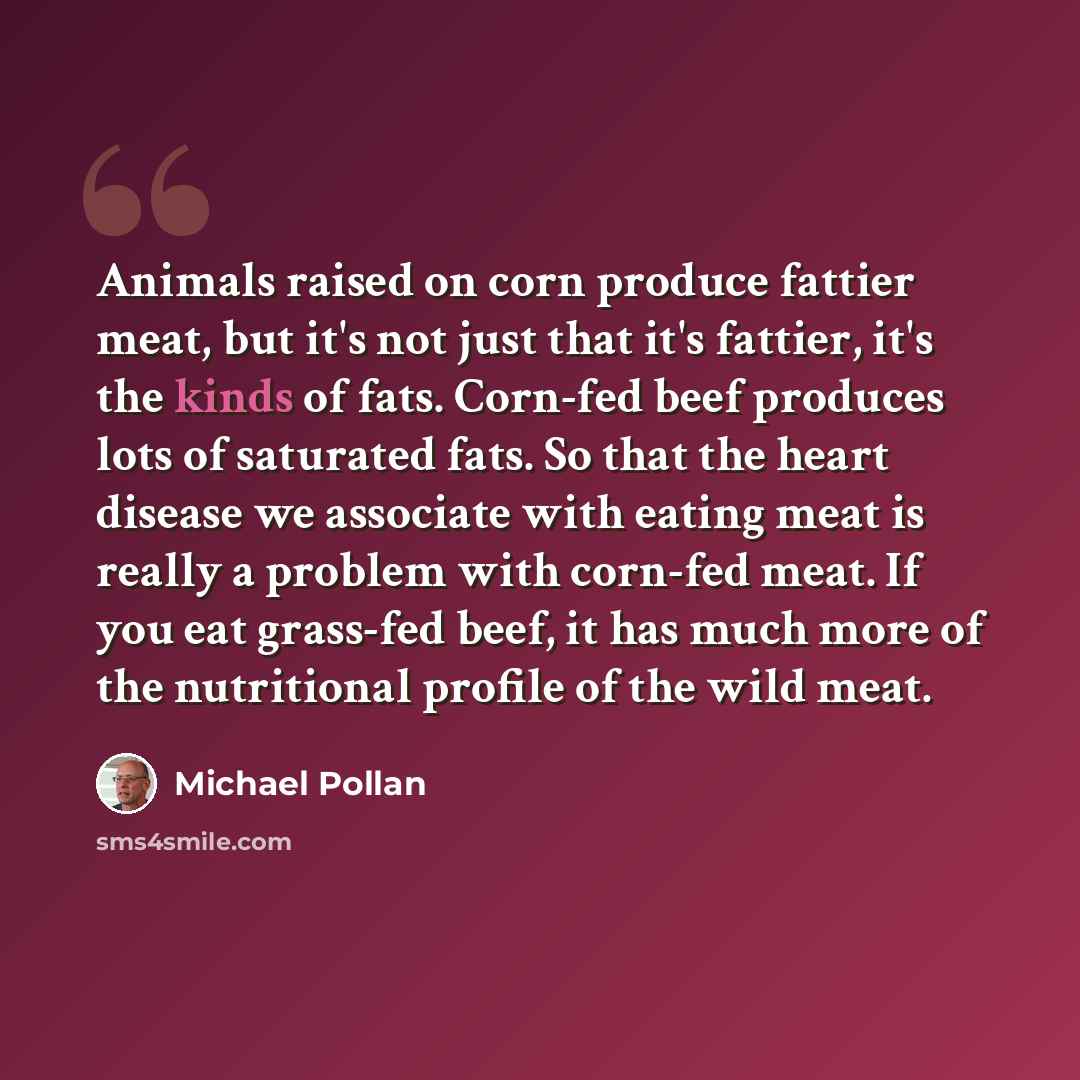 “Animals raised on corn produce fattier meat, but it's not just that it's fattier, it's the kinds of fats. Corn-fed beef produces lots of saturated fats. So that the heart disease we associate with eating meat is really a problem with corn-fed meat. If you eat grass-fed beef, it has much more of…” quote by Michael Pollan