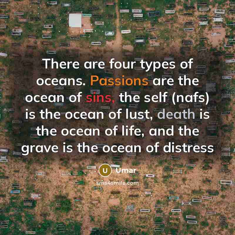 “There are four types of oceans. Passions are the ocean of sins, the self (nafs) is the ocean of lust, death is the ocean of life, and the grave is the ocean of distress” quote by Umar