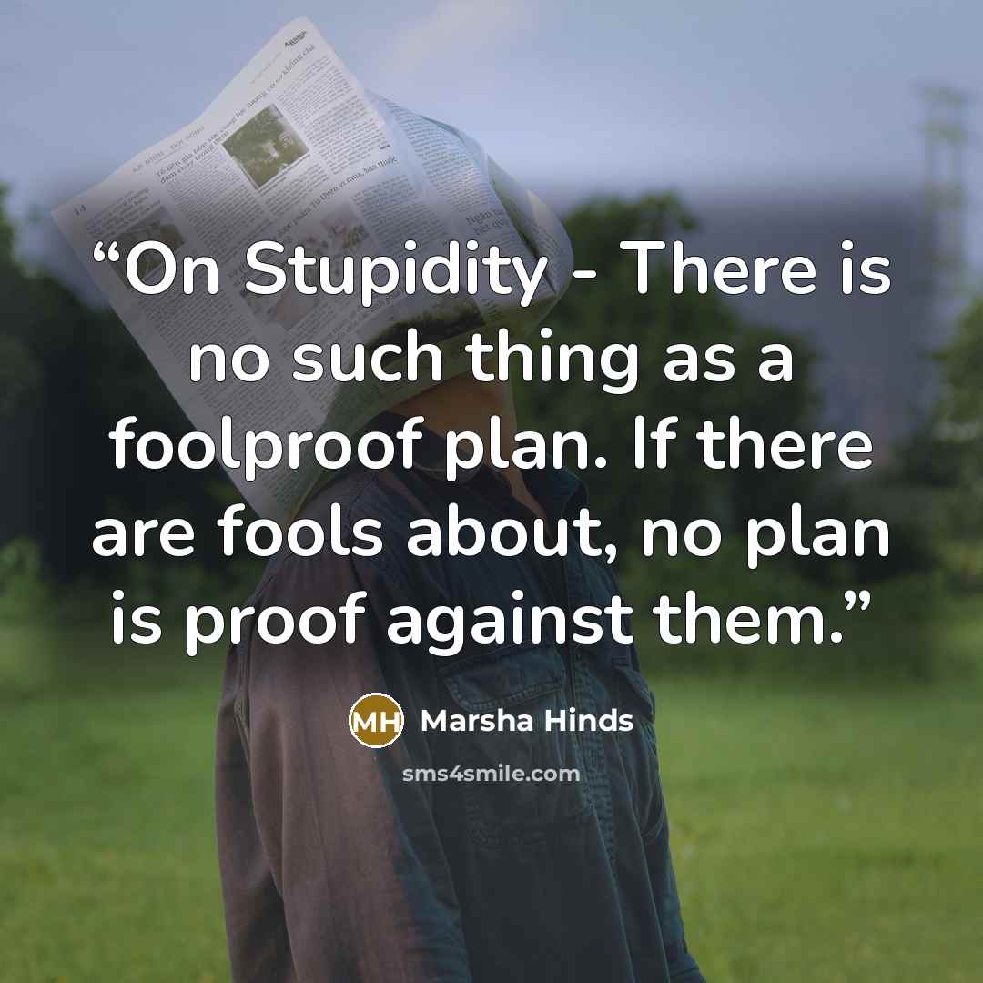 “On Stupidity - There is no such thing as a foolproof plan. If there are fools about, no plan is proof against them.” quote by Marsha Hinds