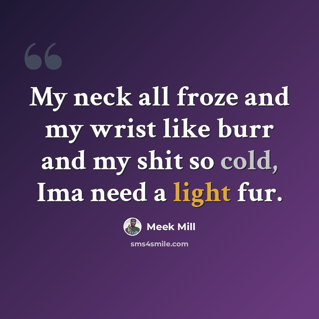 “My neck all froze and my wrist like burr and my shit so cold, Ima need a light fur.” quote by Meek Mill