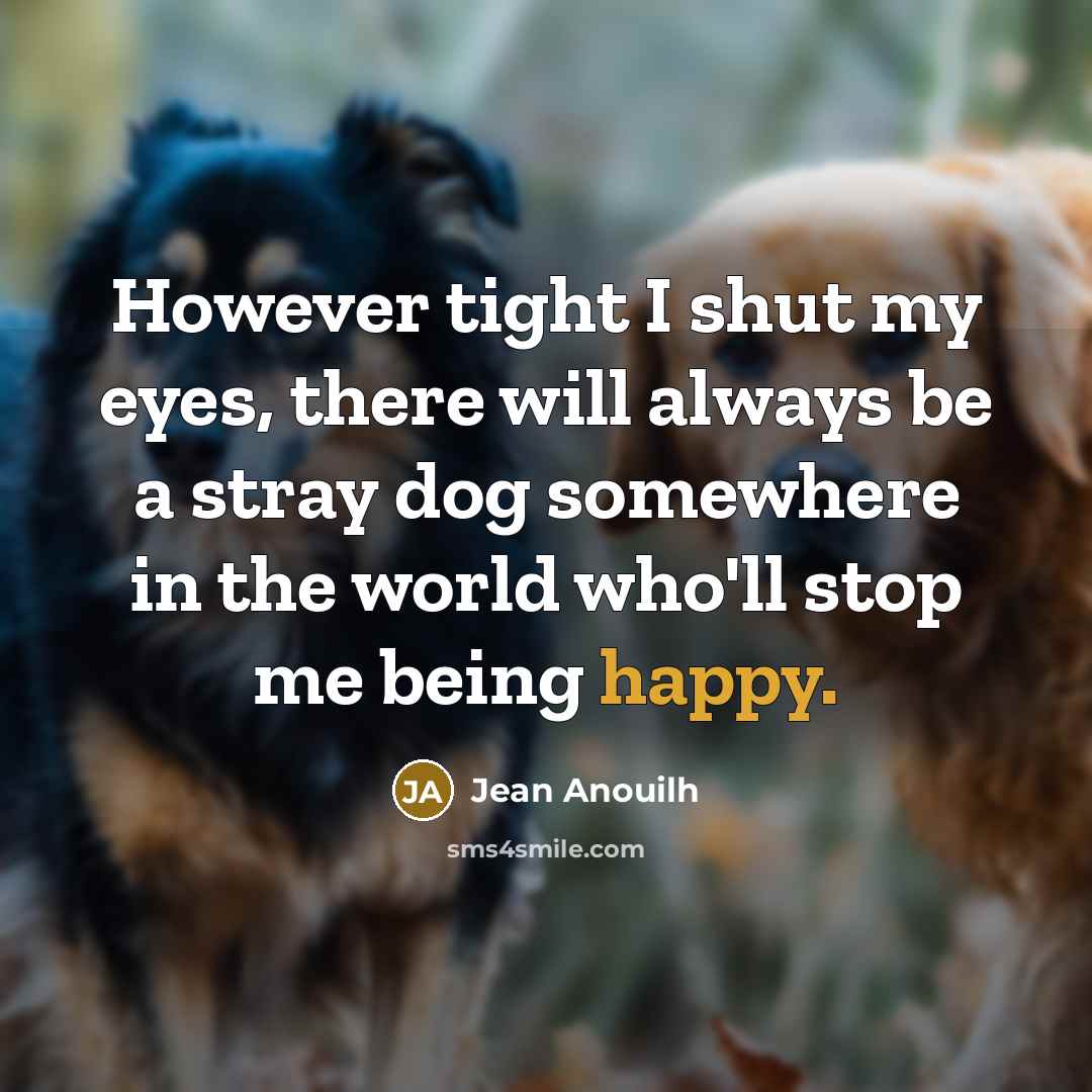 “However tight I shut my eyes, there will always be a stray dog somewhere in the world who'll stop me being happy.” quote by Jean Anouilh