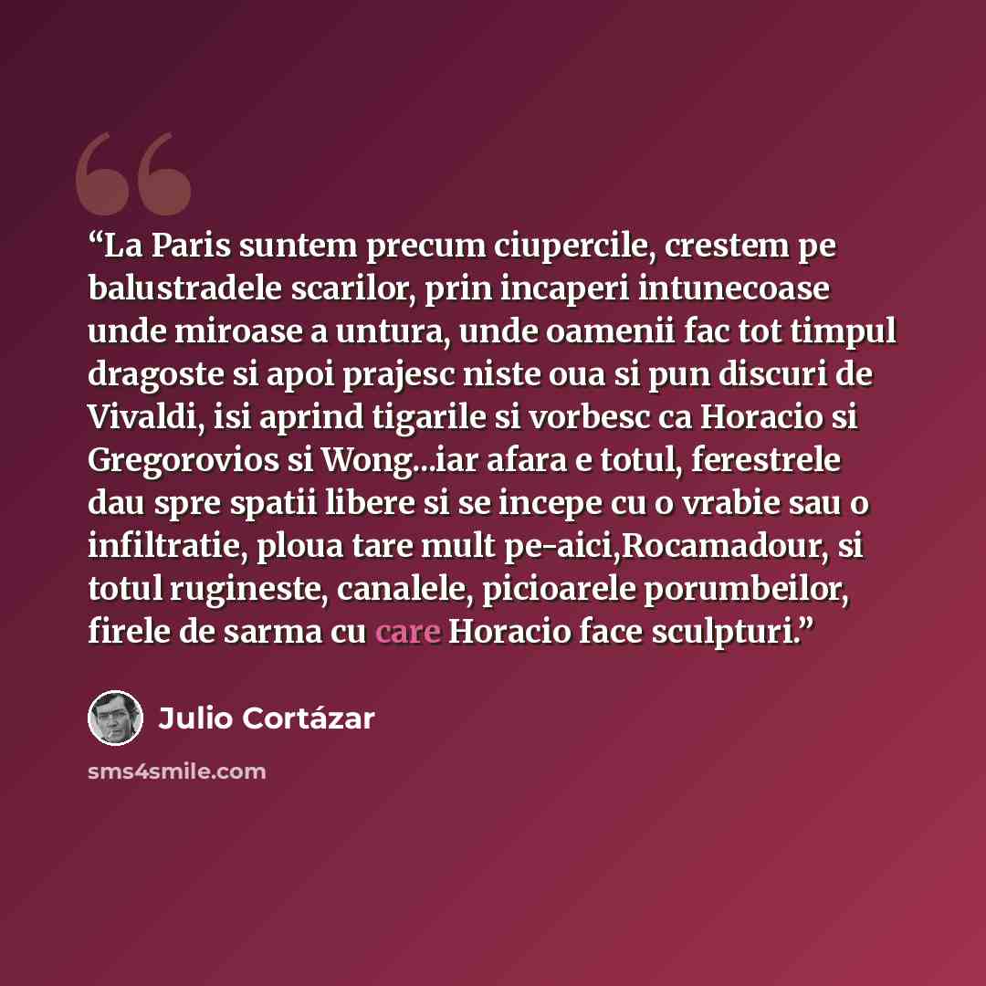 “La Paris suntem precum ciupercile, crestem pe balustradele scarilor, prin incaperi intunecoase unde miroase a untura, unde oamenii fac tot timpul dragoste si apoi prajesc niste oua si pun discuri de Vivaldi, isi aprind tigarile si vorbesc ca Horacio si Gregorovios si Wong...iar afara e totul…” quote by Julio Cortázar