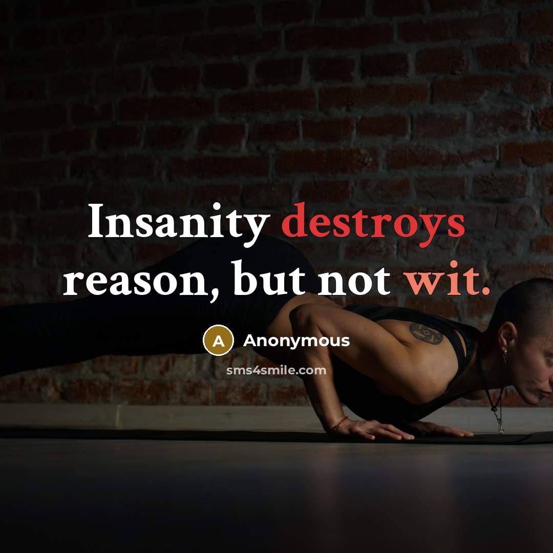 “Insanity destroys reason, but not wit.” quote by Anonymous