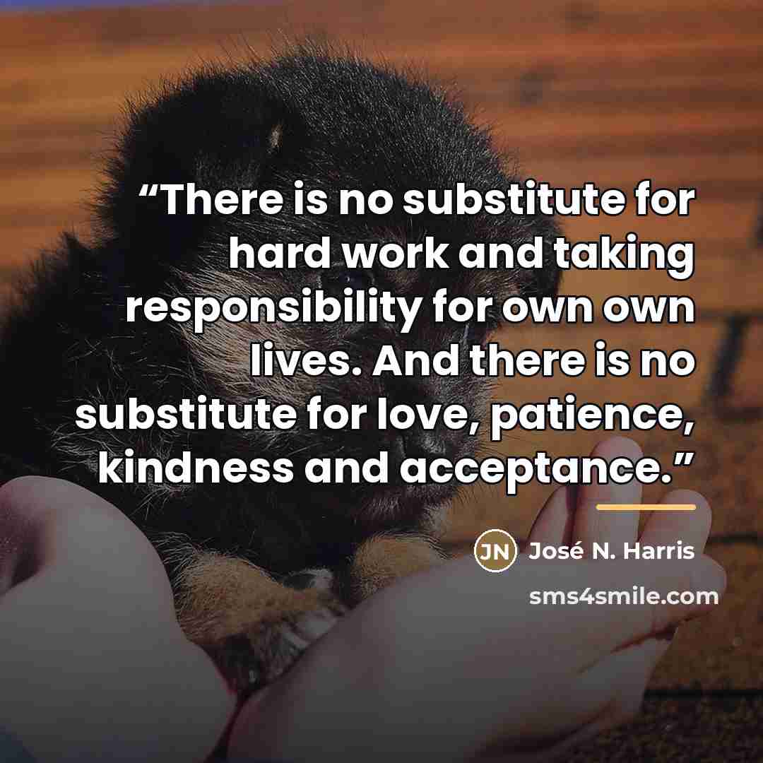 “There is no substitute for hard work and taking responsibility for own own lives. And there is no substitute for love, patience, kindness and acceptance.” quote by José N. Harris