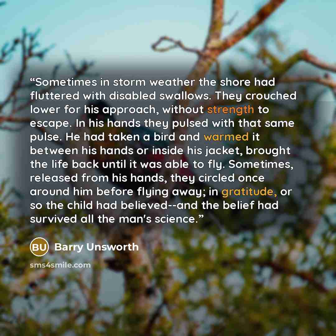 “Sometimes in storm weather the shore had fluttered with disabled swallows. They crouched lower for his approach, without strength to escape. In his hands they pulsed with that same pulse. He had taken a bird and warmed it between his hands or inside his jacket, brought the life back until it was…” quote by Barry Unsworth