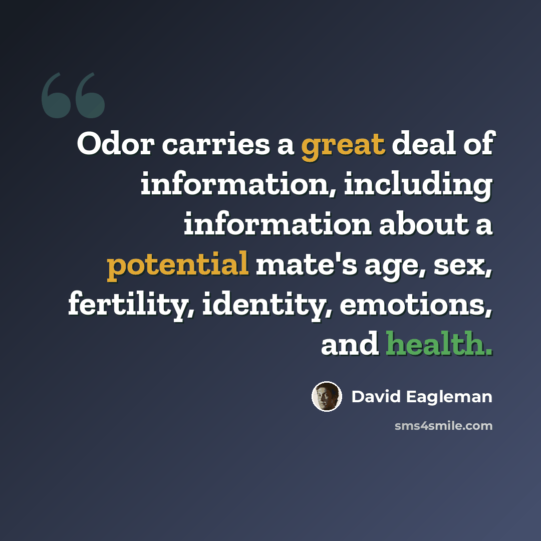 “Odor carries a great deal of information, including information about a potential mate's age, sex, fertility, identity, emotions, and health.” quote by David Eagleman