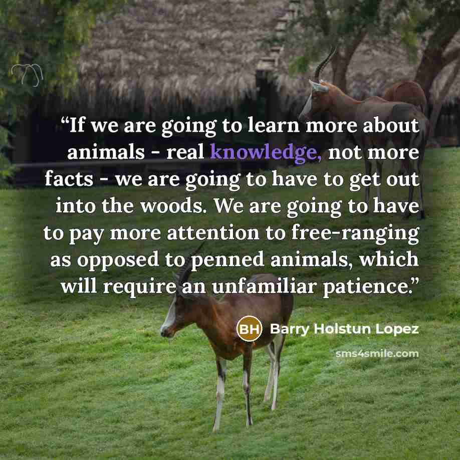 “If we are going to learn more about animals - real knowledge, not more facts - we are going to have to get out into the woods. We are going to have to pay more attention to free-ranging as opposed to penned animals, which will require an unfamiliar patience.” quote by Barry Holstun Lopez