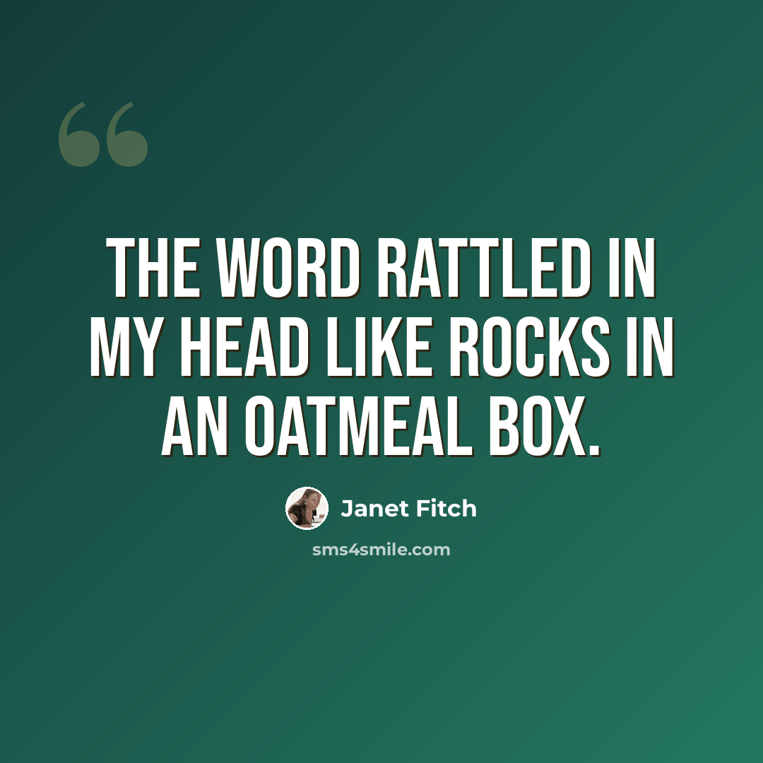 “The word rattled in my head like rocks in an oatmeal box.” quote by Janet Fitch