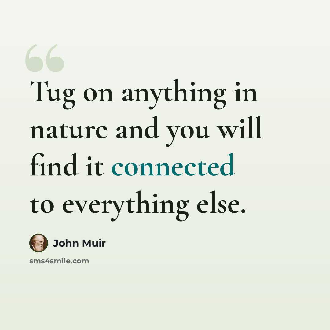 “Tug on anything in nature and you will find it connected to everything else.” quote by John Muir