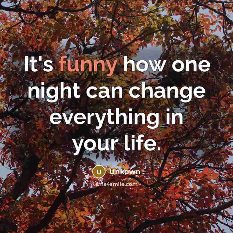 “It's funny how one night can change everything in your life.” quote by Unkown