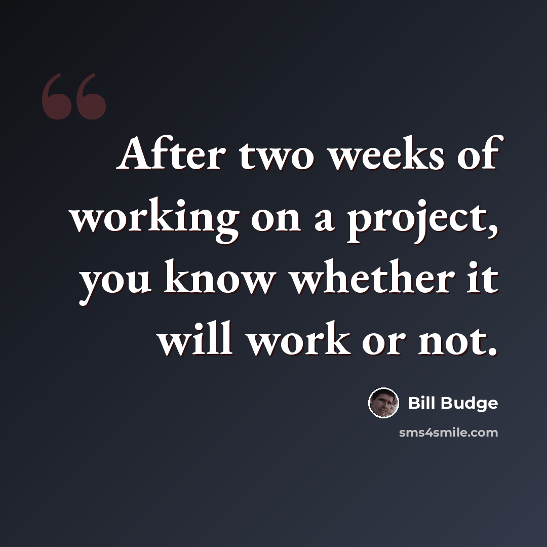 “After two weeks of working on a project, you know whether it will work or not.” quote by Bill Budge