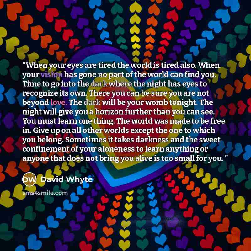 “When your eyes are tired the world is tired also. When your vision has gone no part of the world can find you. Time to go into the dark where the night has eyes to recognize its own. There you can be sure you are not beyond love. The dark will be your womb tonight. The night will give you a…” quote by David Whyte