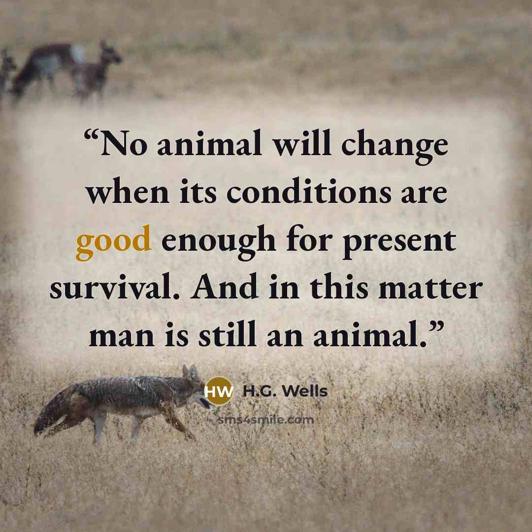 “No animal will change when its conditions are good enough for present survival. And in this matter man is still an animal.” quote by H.G. Wells
