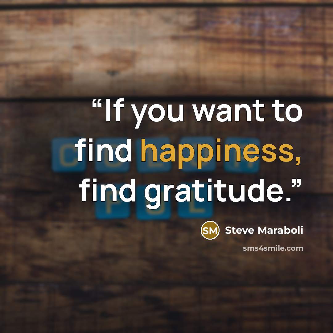 “If you want to find happiness, find gratitude.” quote by Steve Maraboli