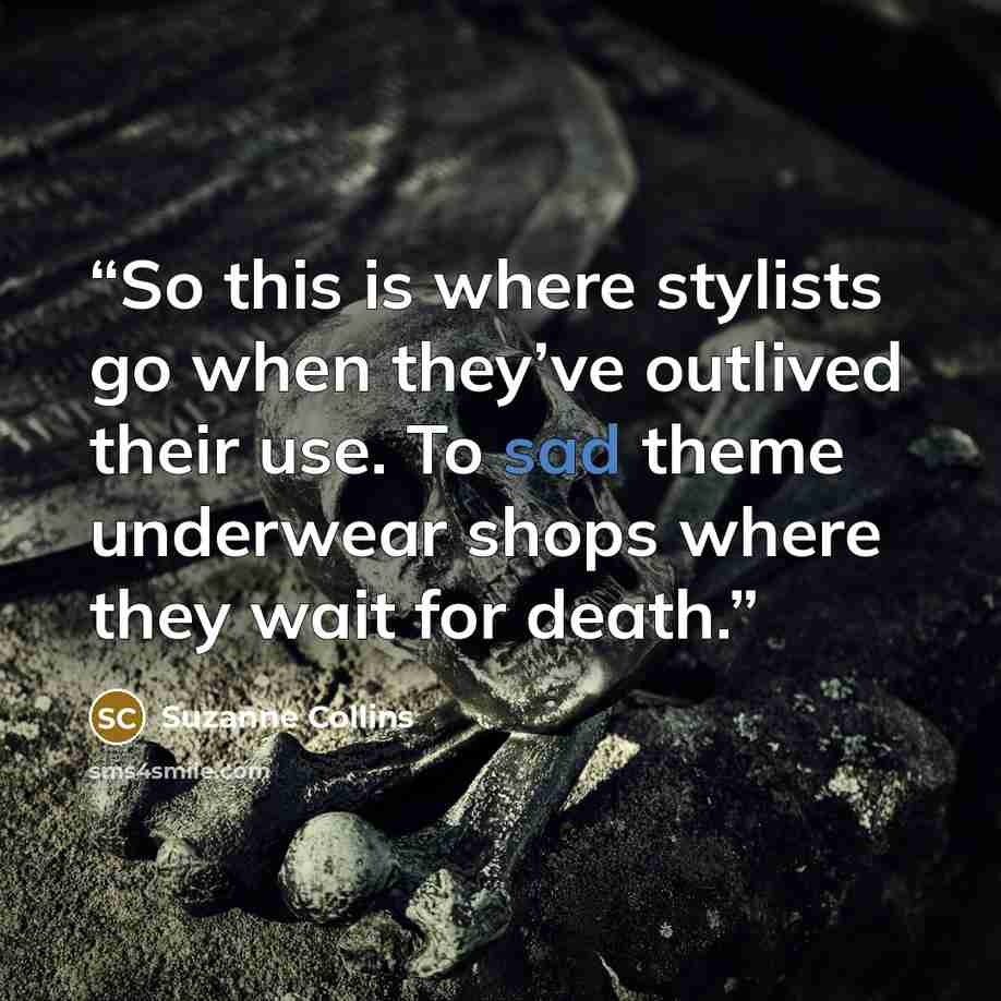 “So this is where stylists go when they’ve outlived their use. To sad theme underwear shops where they wait for death.” quote by Suzanne Collins