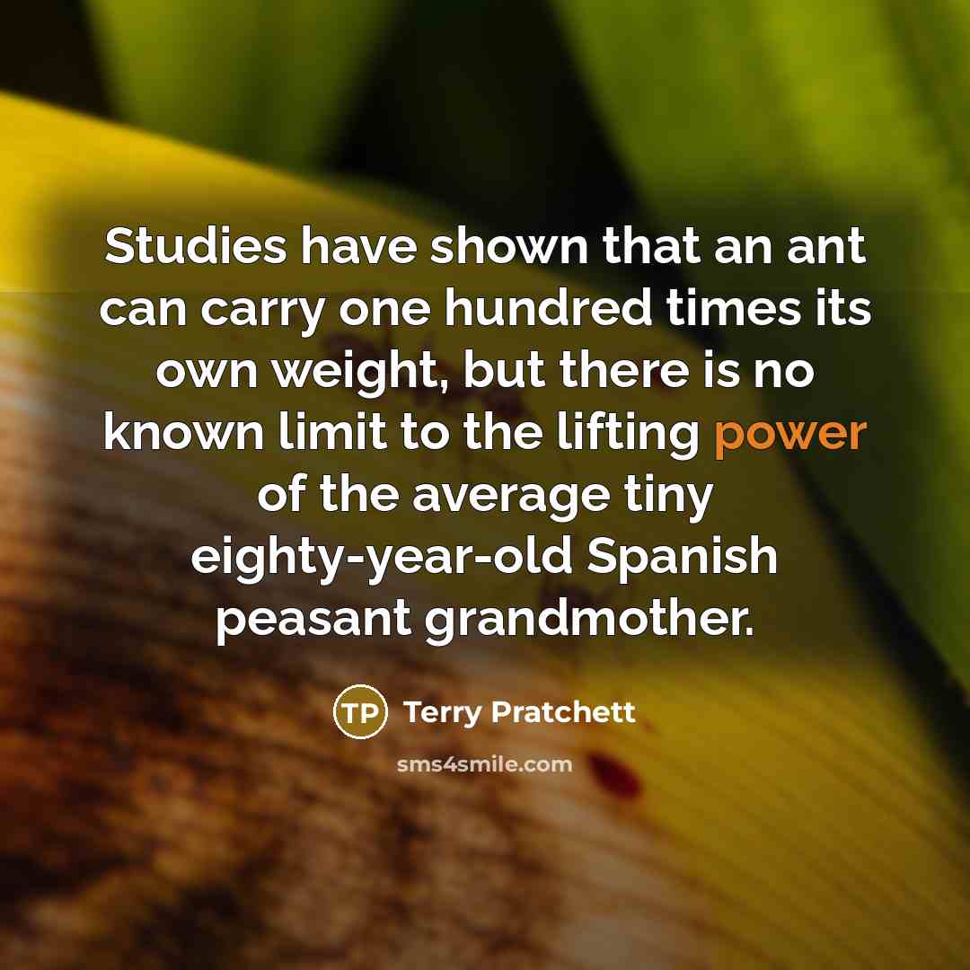 “Studies have shown that an ant can carry one hundred times its own weight, but there is no known limit to the lifting power of the average tiny eighty-year-old Spanish peasant grandmother.” quote by Terry Pratchett