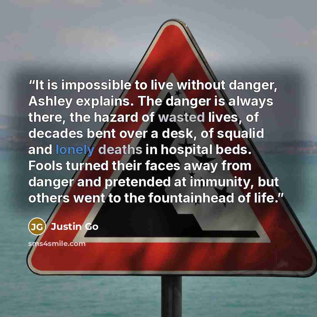 “It is impossible to live without danger, Ashley explains. The danger is always there, the hazard of wasted lives, of decades bent over a desk, of squalid and lonely deaths in hospital beds. Fools turned their faces away from danger and pretended at immunity, but others went to the fountainhead of…” quote by Justin Go