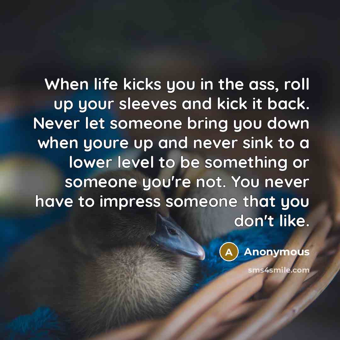 “When life kicks you in the ass, roll up your sleeves and kick it back. Never let someone bring you down when youre up and never sink to a lower level to be something or someone you're not. You never have to impress someone that you don't like.” quote by Anonymous