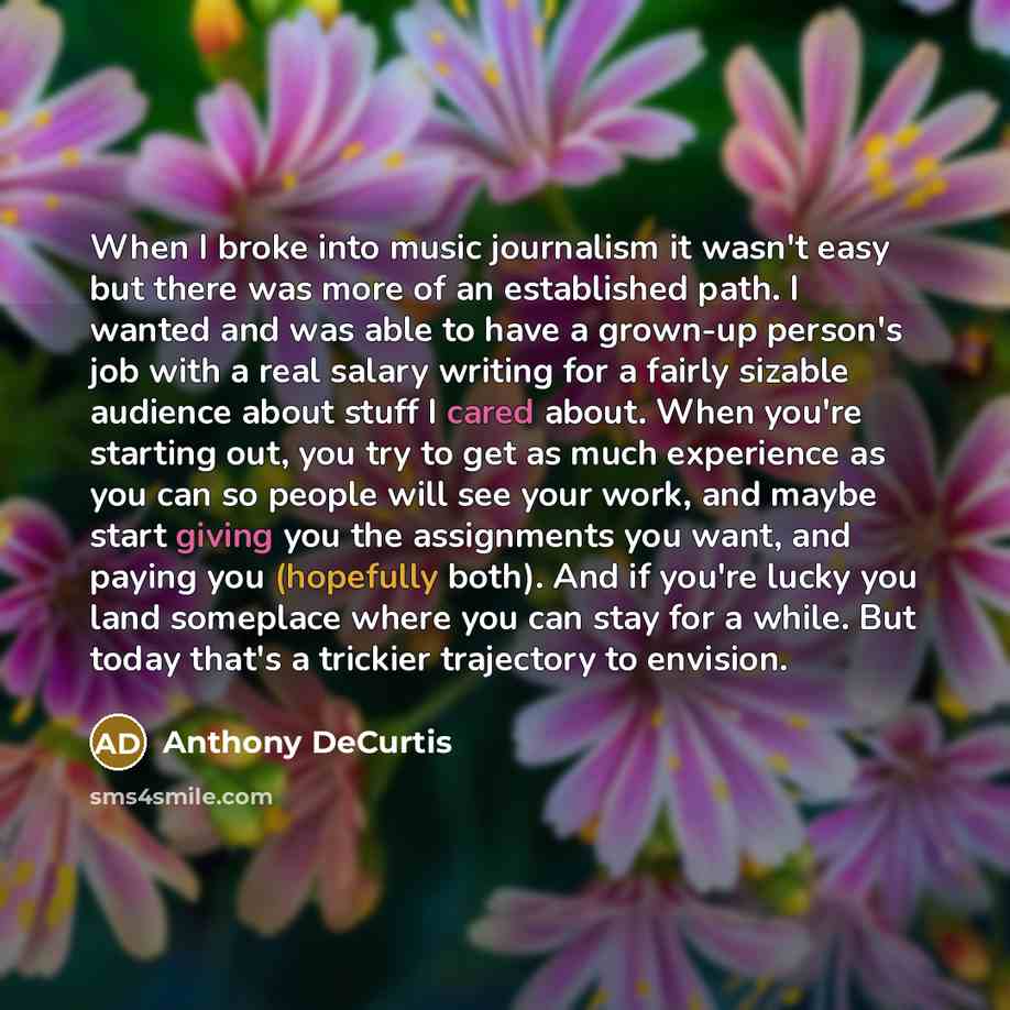 “When I broke into music journalism it wasn't easy but there was more of an established path. I wanted and was able to have a grown-up person's job with a real salary writing for a fairly sizable audience about stuff I cared about. When you're starting out, you try to get as much experience as you…” quote by Anthony DeCurtis