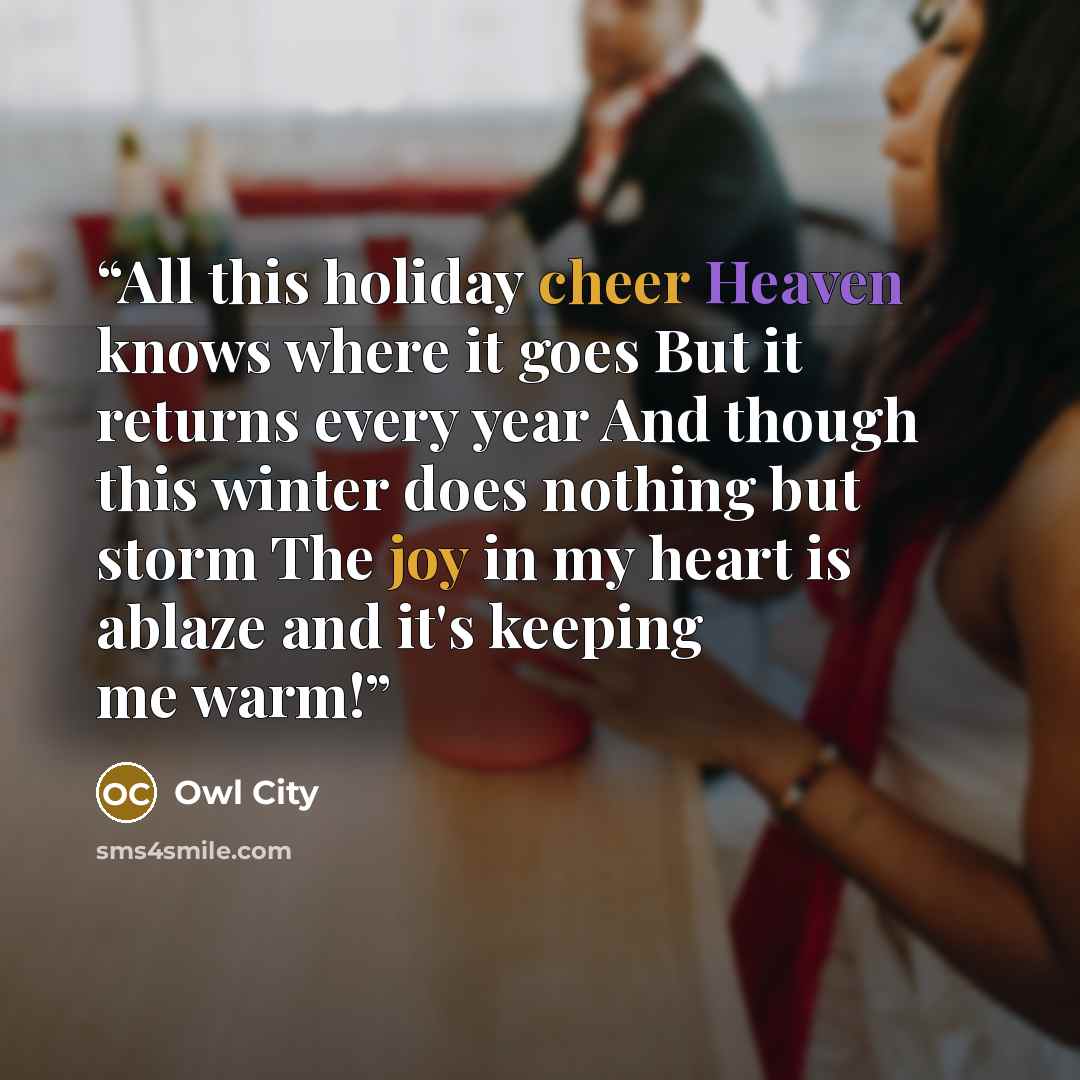 “All this holiday cheer Heaven knows where it goes But it returns every year And though this winter does nothing but storm The joy in my heart is ablaze and it's keeping me warm!” quote by Owl City