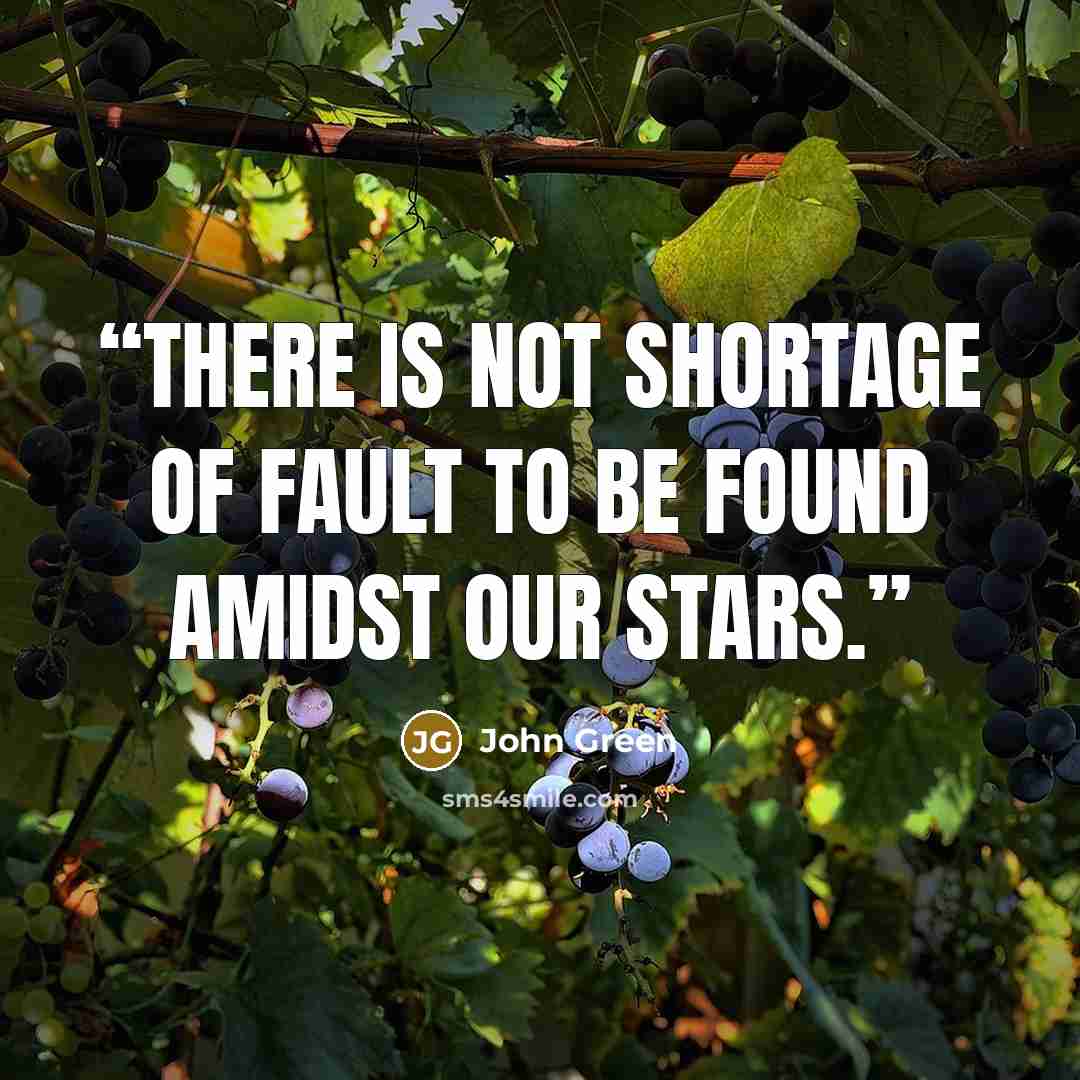 “There is not shortage of fault to be found amidst our stars.” quote by John Green