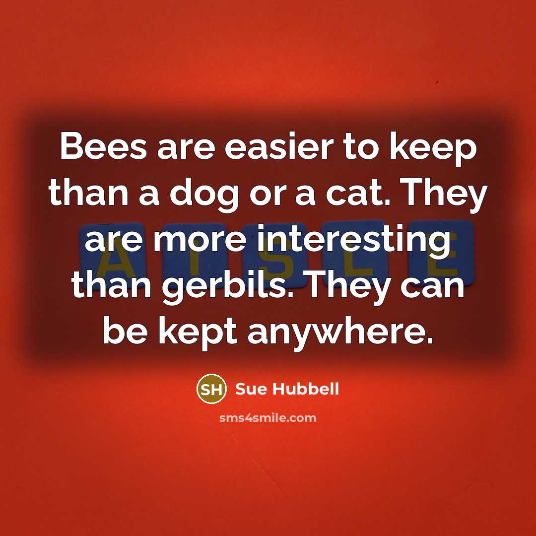 “Bees are easier to keep than a dog or a cat. They are more interesting than gerbils. They can be kept anywhere.” quote by Sue Hubbell