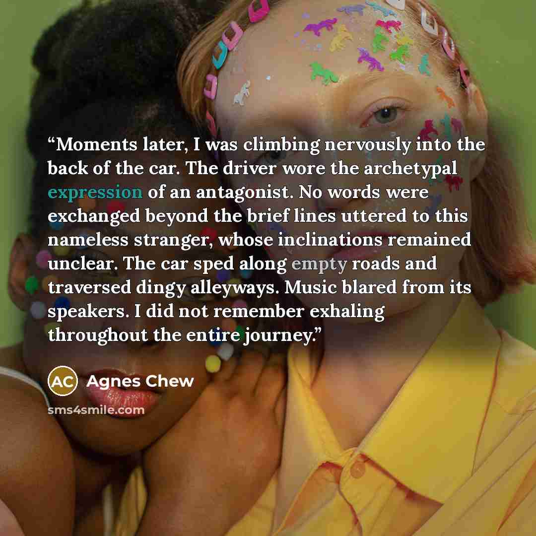 “Moments later, I was climbing nervously into the back of the car. The driver wore the archetypal expression of an antagonist. No words were exchanged beyond the brief lines uttered to this nameless stranger, whose inclinations remained unclear. The car sped along empty roads and traversed dingy…” quote by Agnes Chew