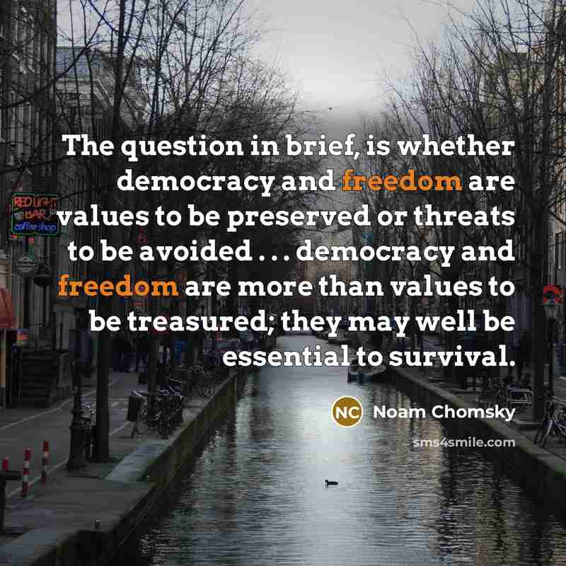 “The question in brief, is whether democracy and freedom are values to be preserved or threats to be avoided . . . democracy and freedom are more than values to be treasured; they may well be essential to survival.” quote by Noam Chomsky