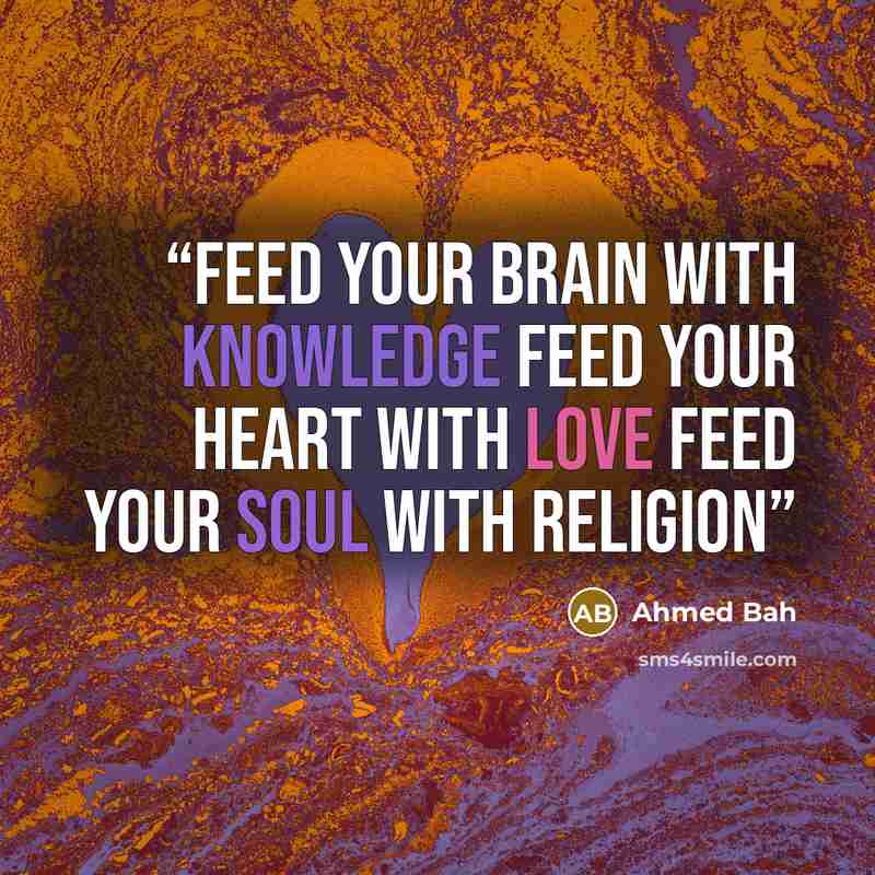 “Feed your brain with knowledge Feed your heart with love Feed your soul with religion” quote by Ahmed Bah