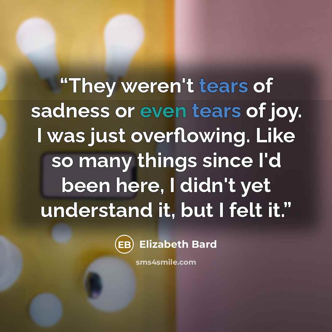 “They weren't tears of sadness or even tears of joy. I was just overflowing. Like so many things since I'd been here, I didn't yet understand it, but I felt it.” quote by Elizabeth Bard