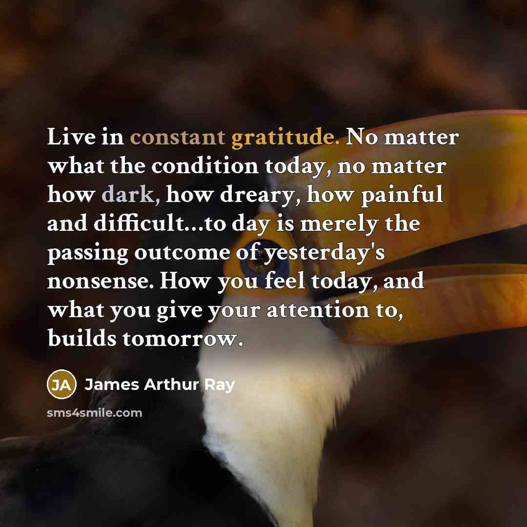 “Live in constant gratitude. No matter what the condition today, no matter how dark, how dreary, how painful and difficult…to day is merely the passing outcome of yesterday's nonsense. How you feel today, and what you give your attention to, builds tomorrow.” quote by James Arthur Ray