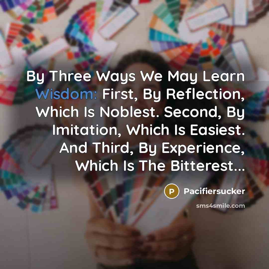 “By Three Ways We May Learn Wisdom: First, By Reflection, Which Is Noblest. Second, By Imitation, Which Is Easiest. And Third, By Experience, Which Is The Bitterest...” quote by Pacifiersucker
